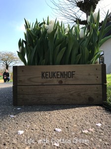 A wooden flower box at Keukenhof