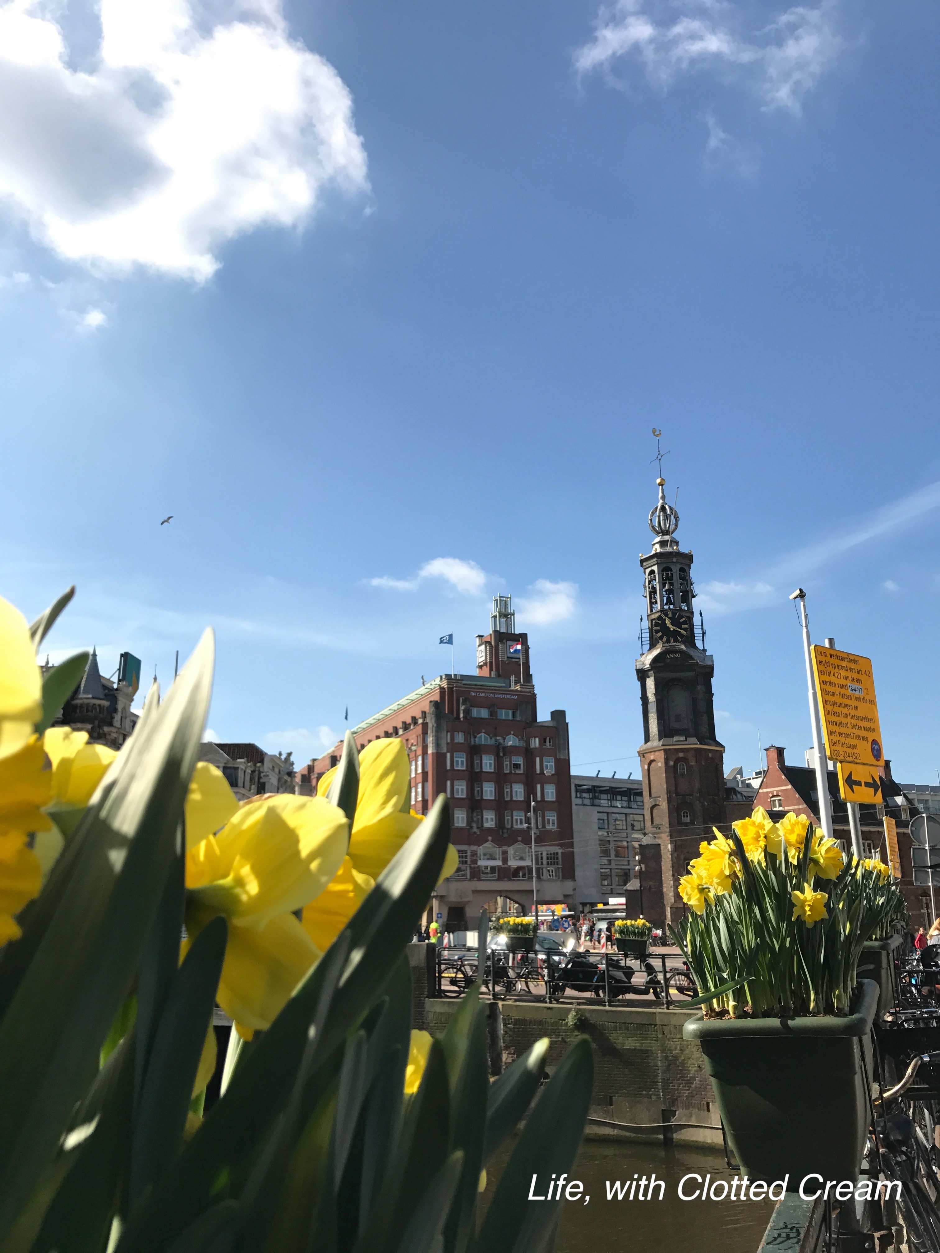 Flowers in Amsterdam