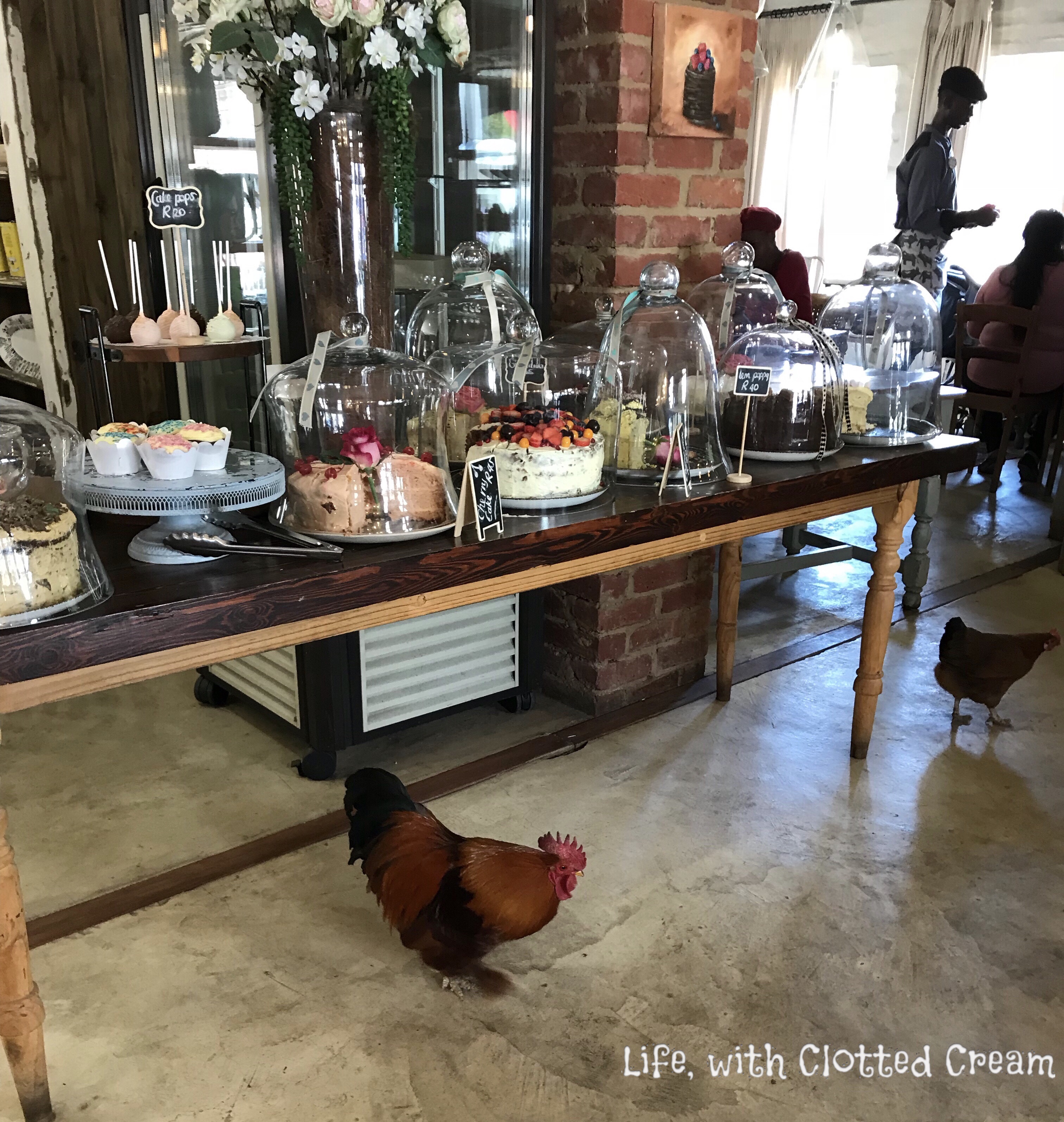 Die Melk Stal, South Africa