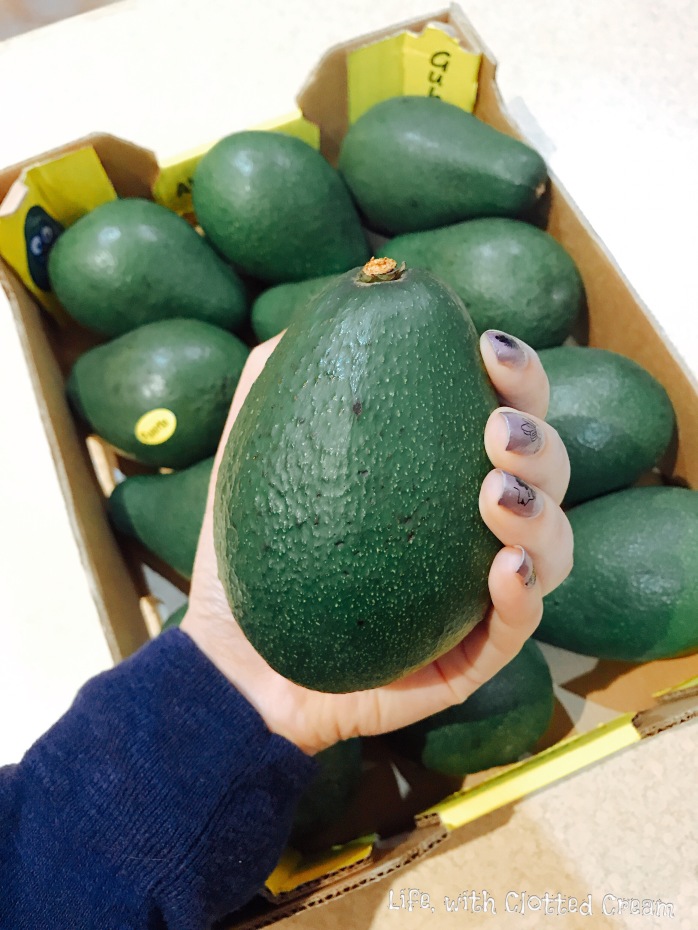 Giant avocados!