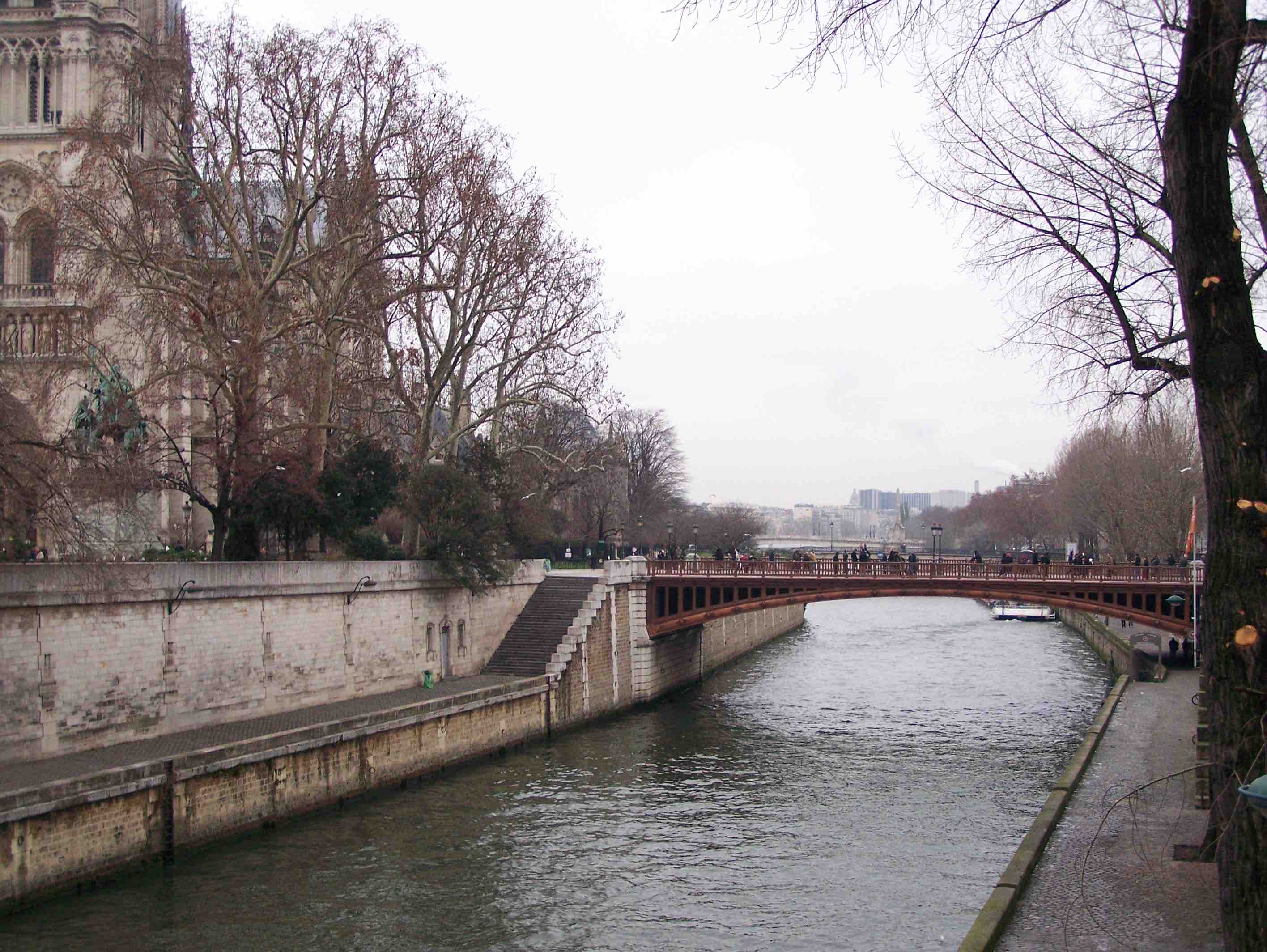The Seine in Paris with side view of Notre Dame