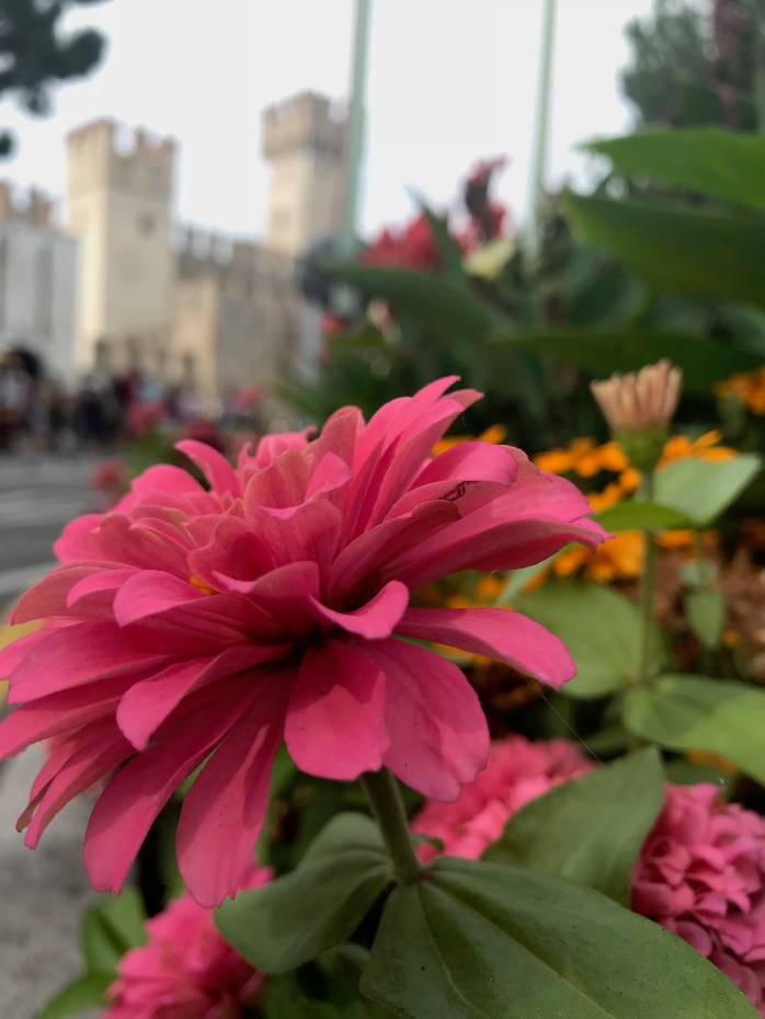 Flowers outside Sirmione Castle