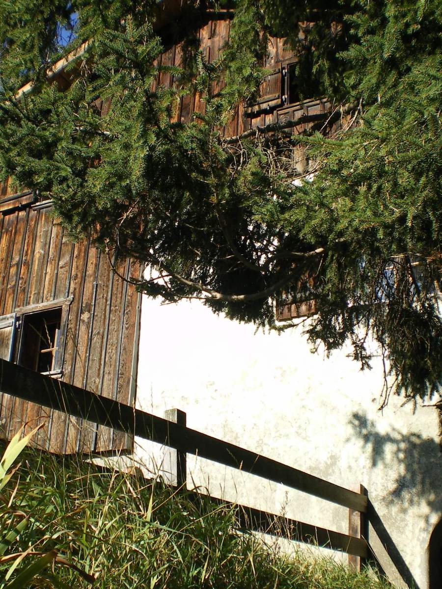 Switzerland: Maienfeld