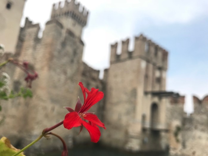 Red flower outside Sirmione Castle