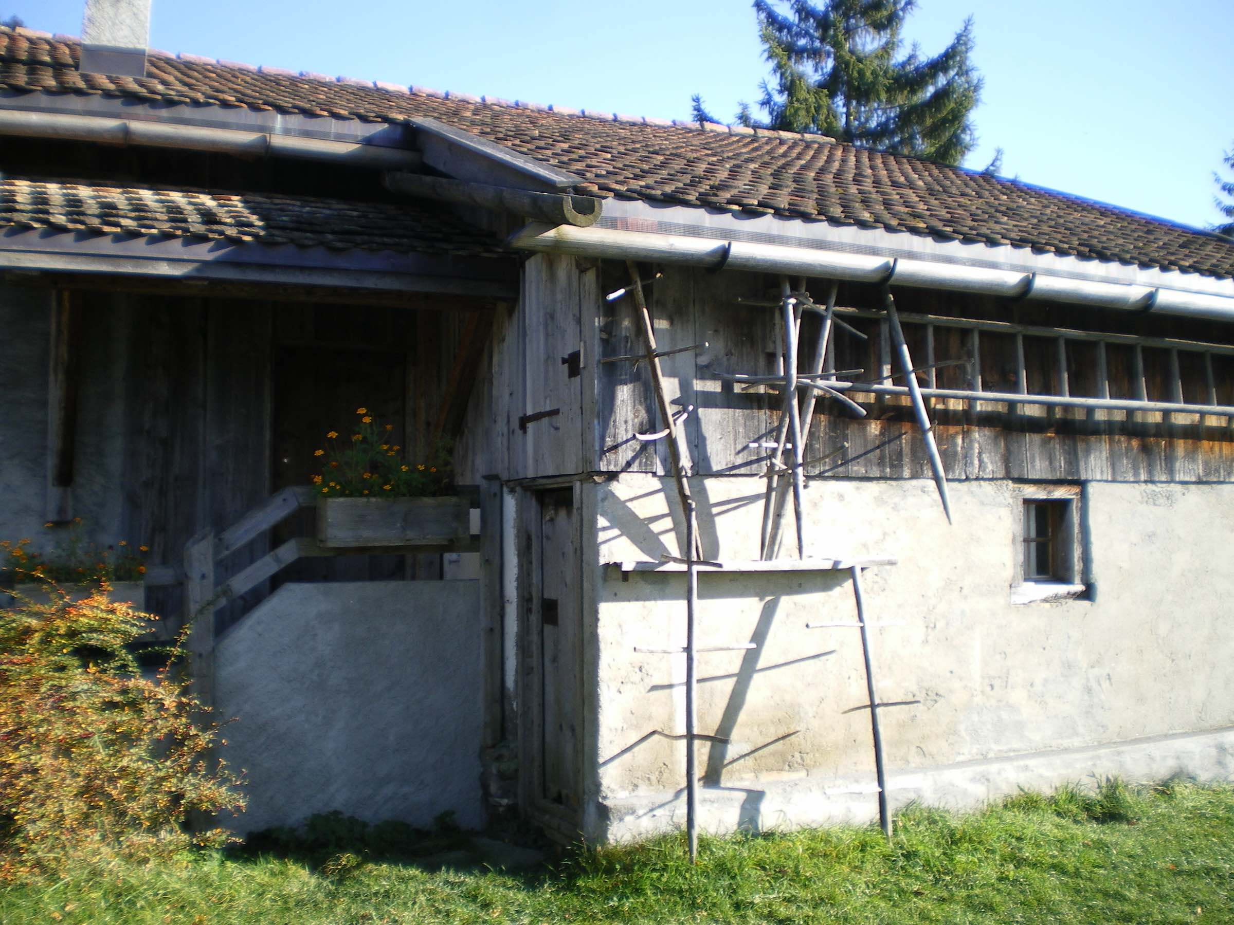 Stables next to Heidi's home in Swiss Alps