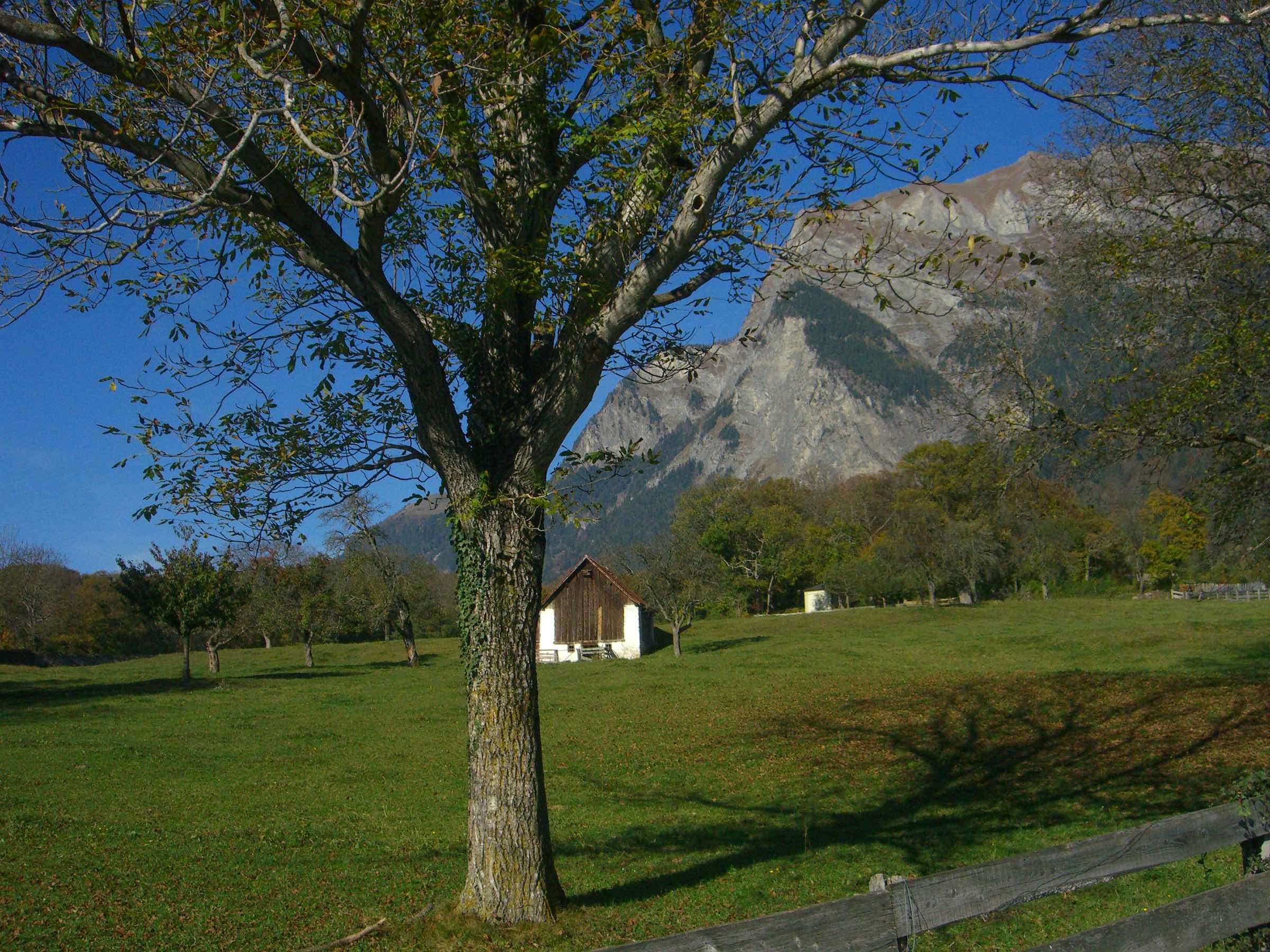 A little house in the Swiss Mountains