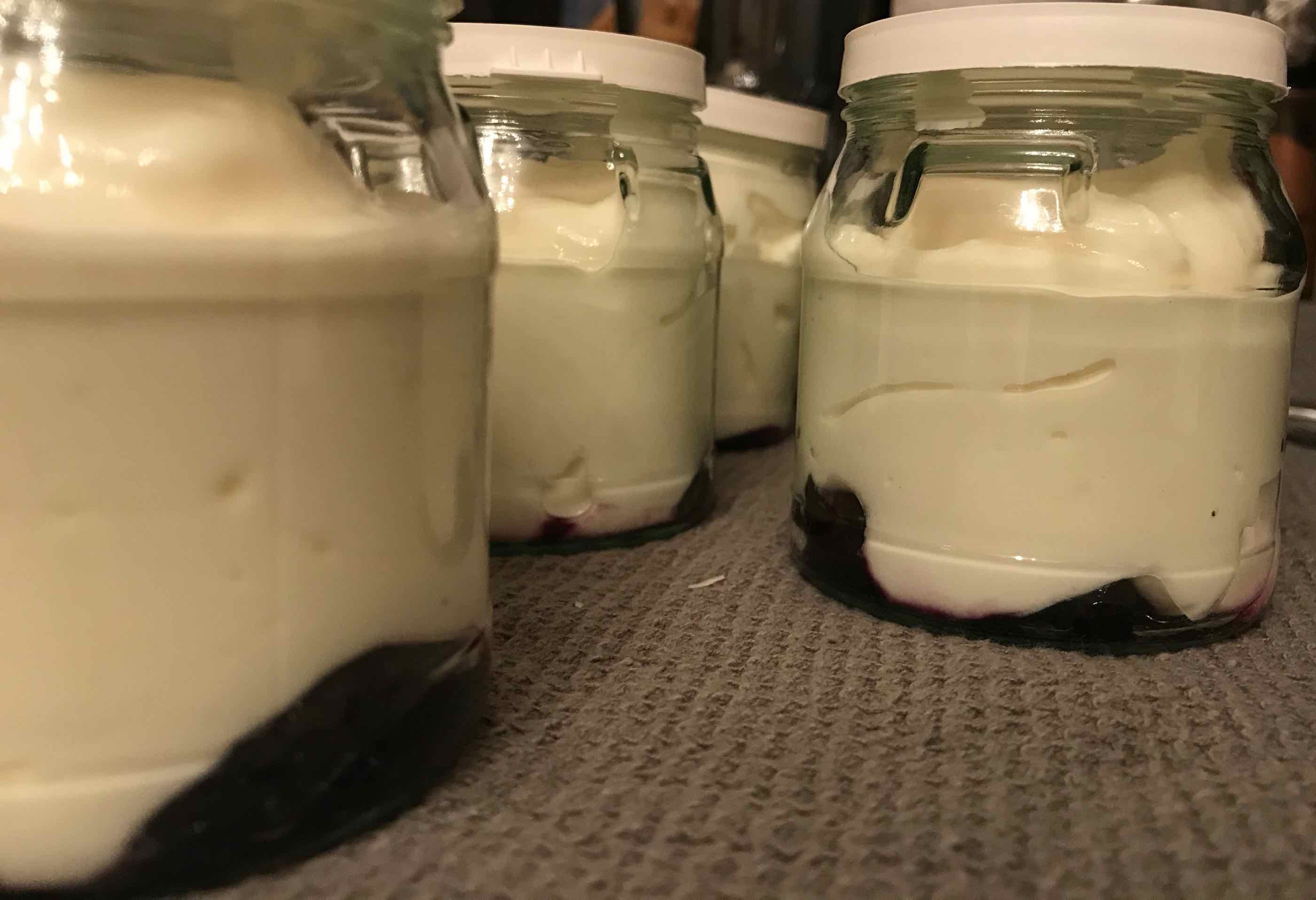 Homemade yogurt