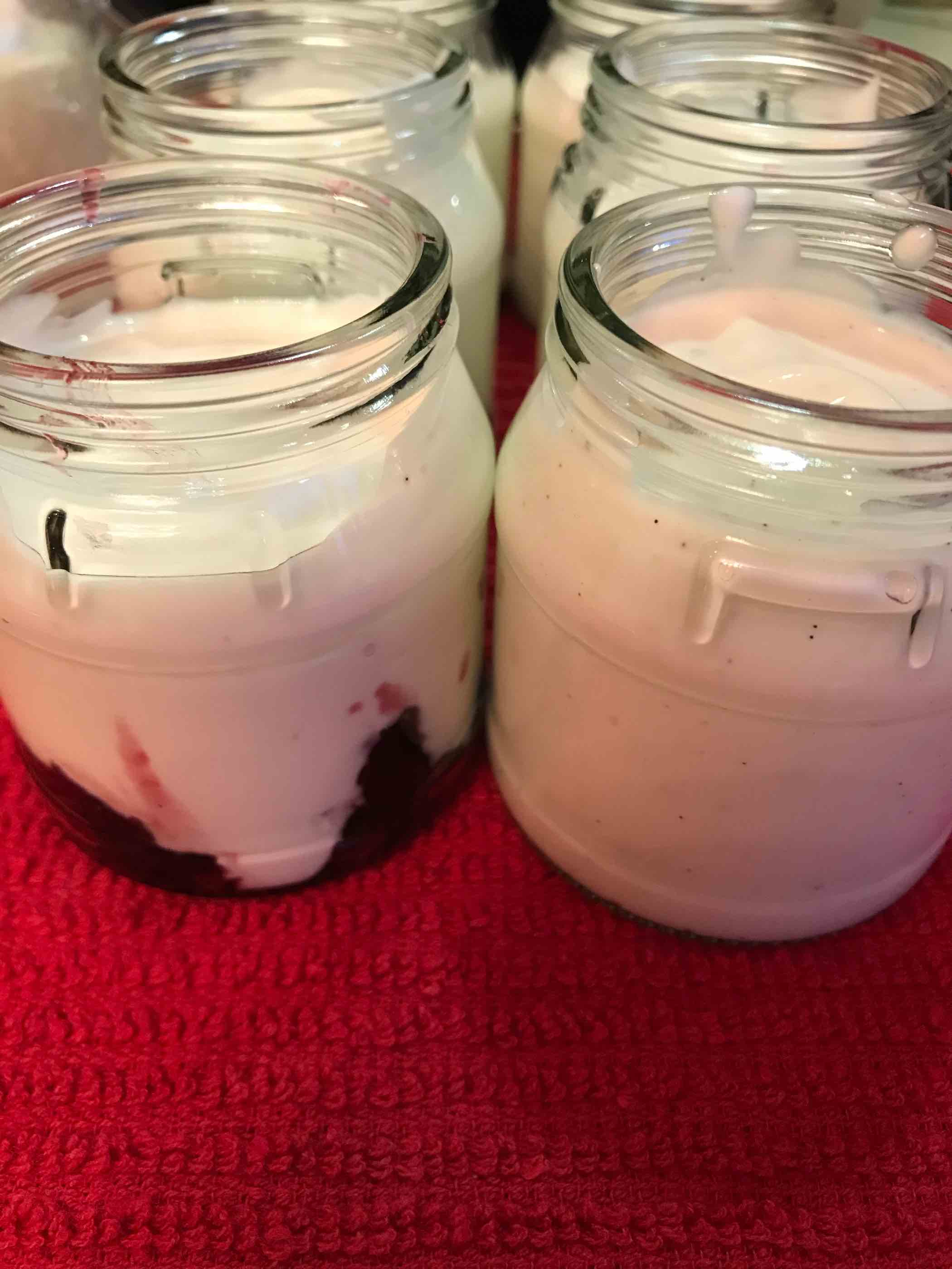 Homemade yogurt