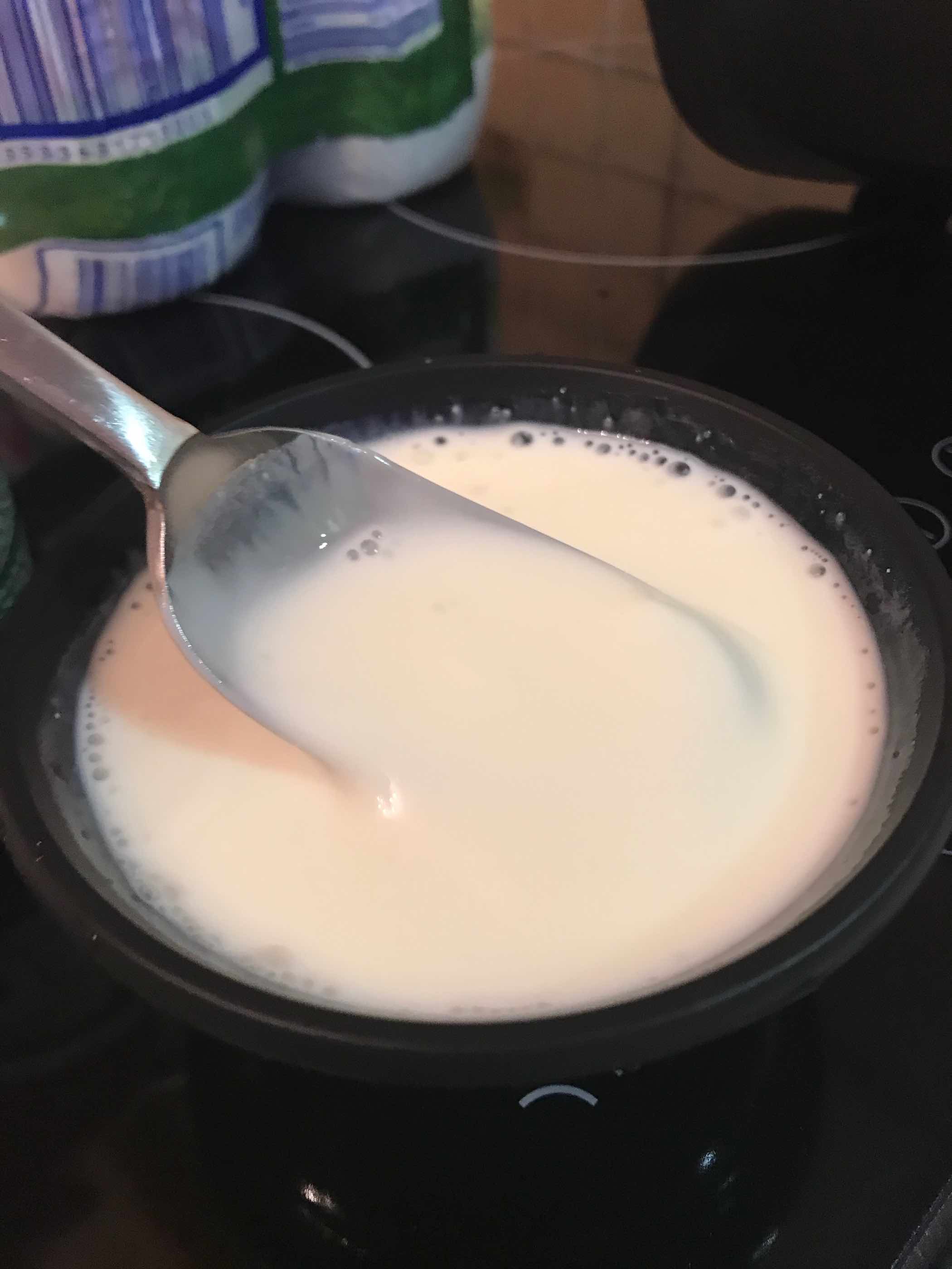 Homemade Yogurt
