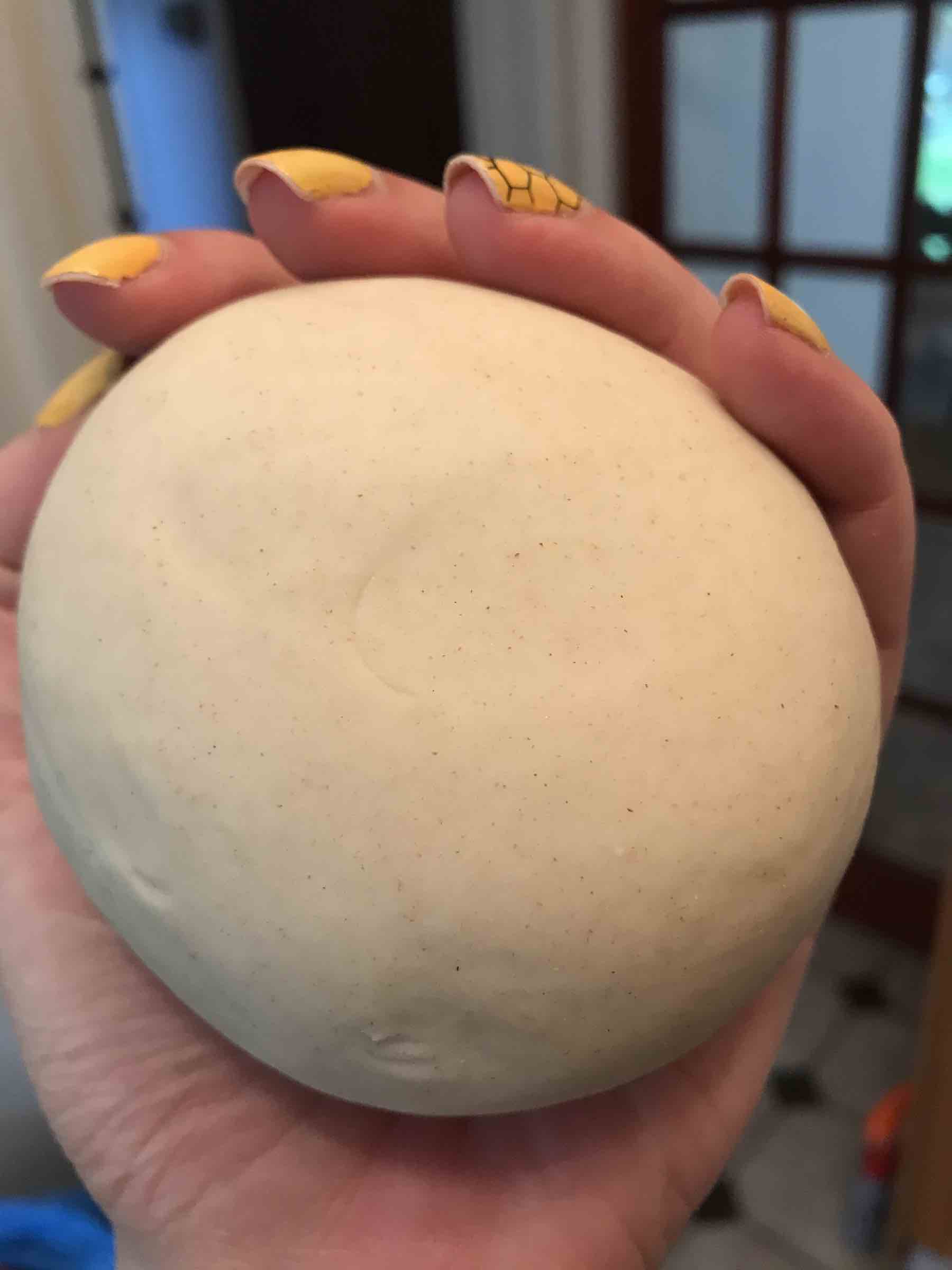 Plain hot water dough for gyoza wrappers after it had been rested