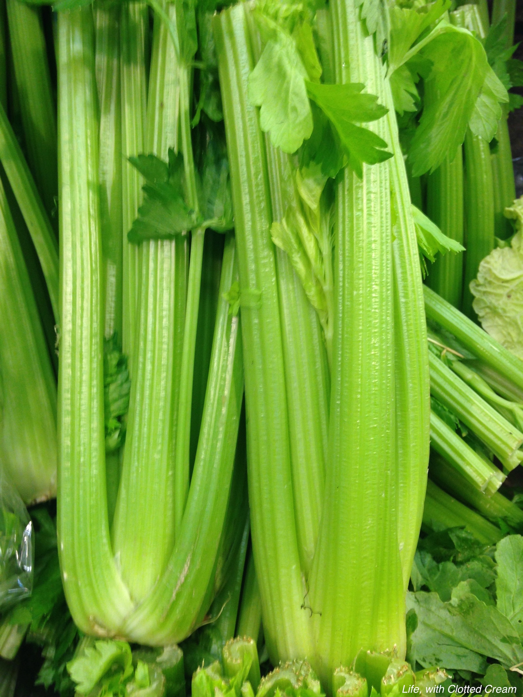 Fresh celery