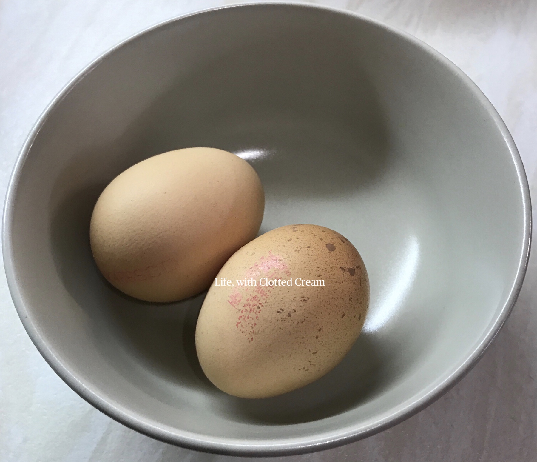 Two eggs in a bowl