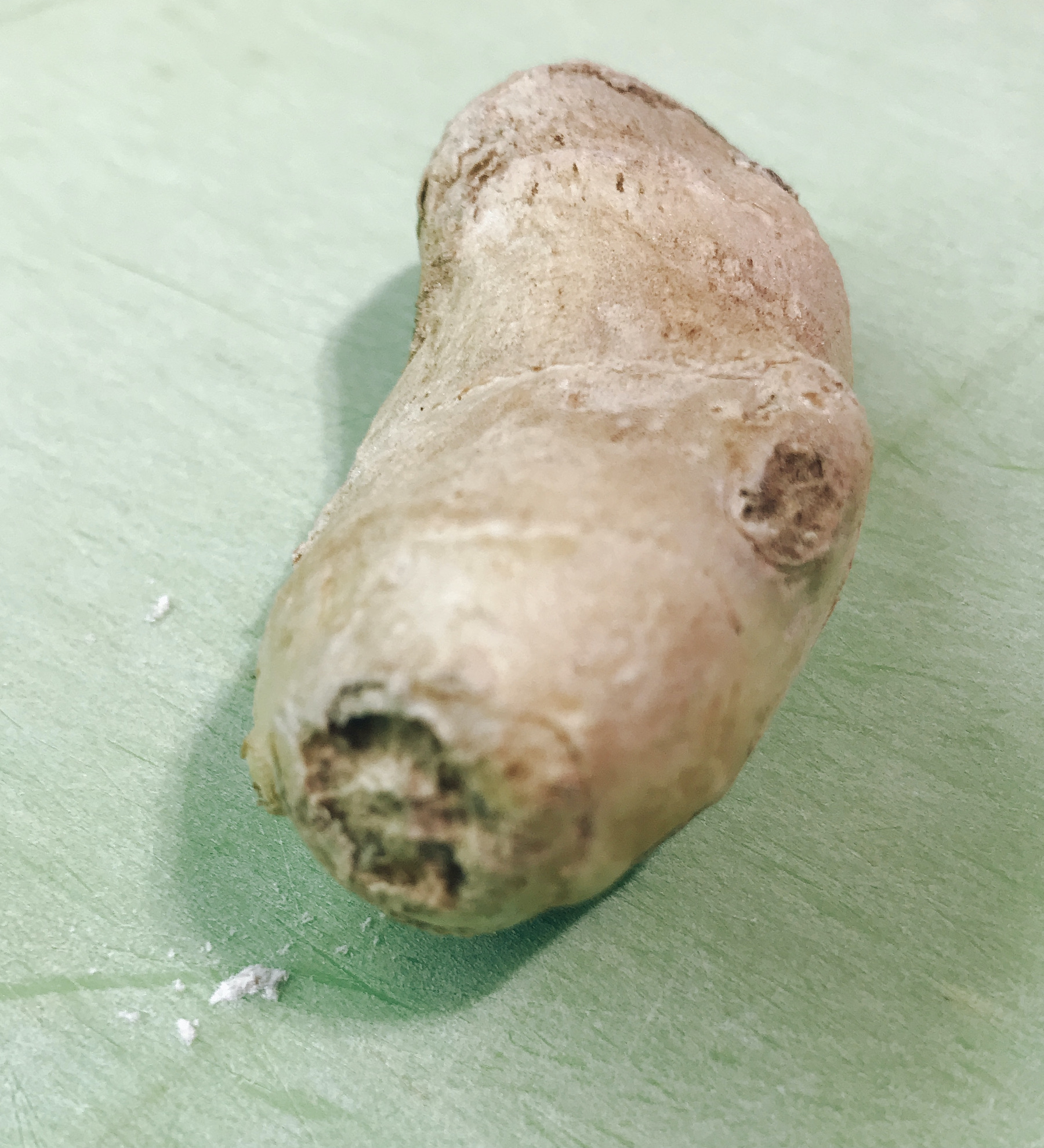 A thumb of ginger