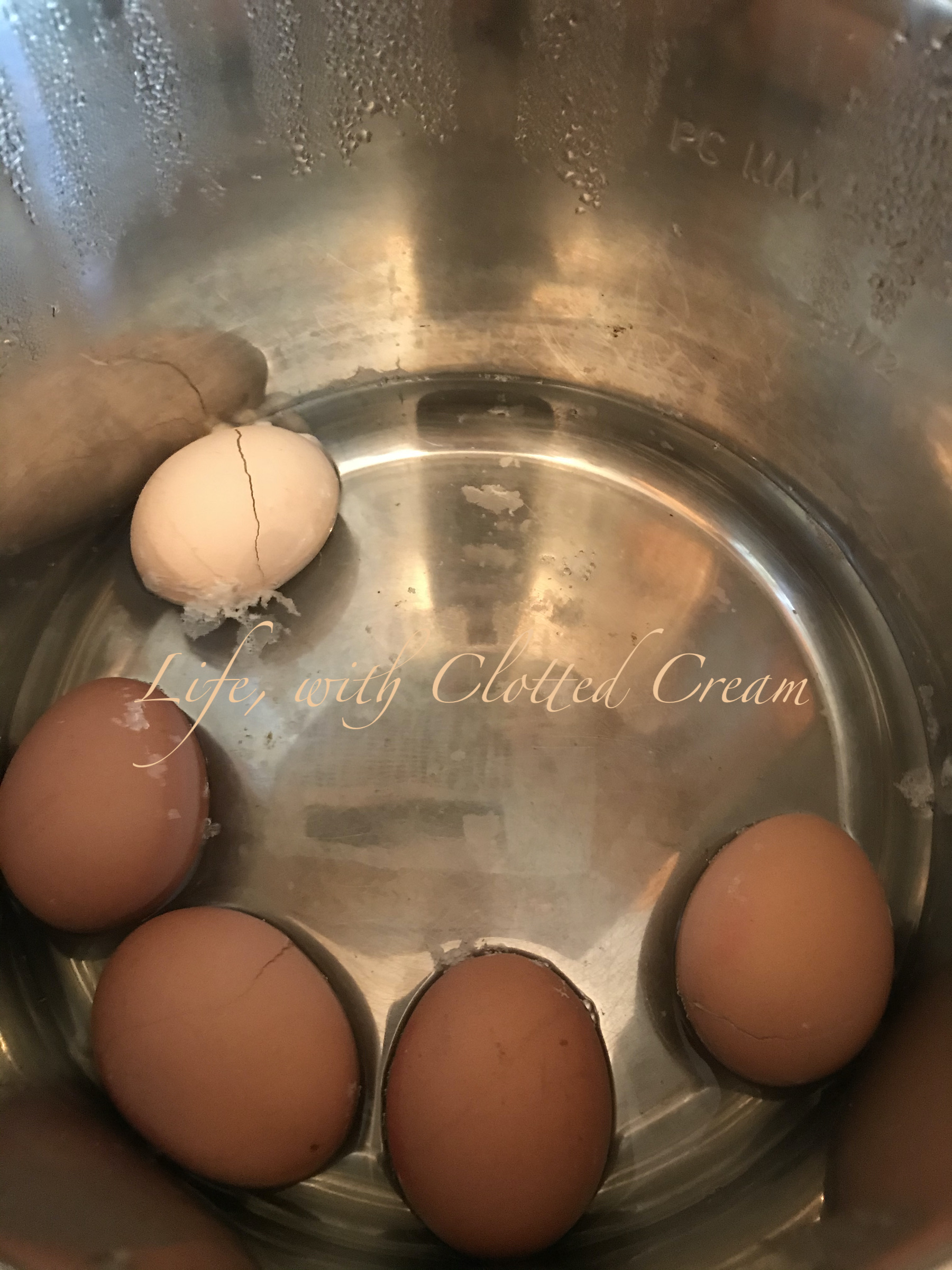 Korean sauna eggs Life, with Clotted Cream