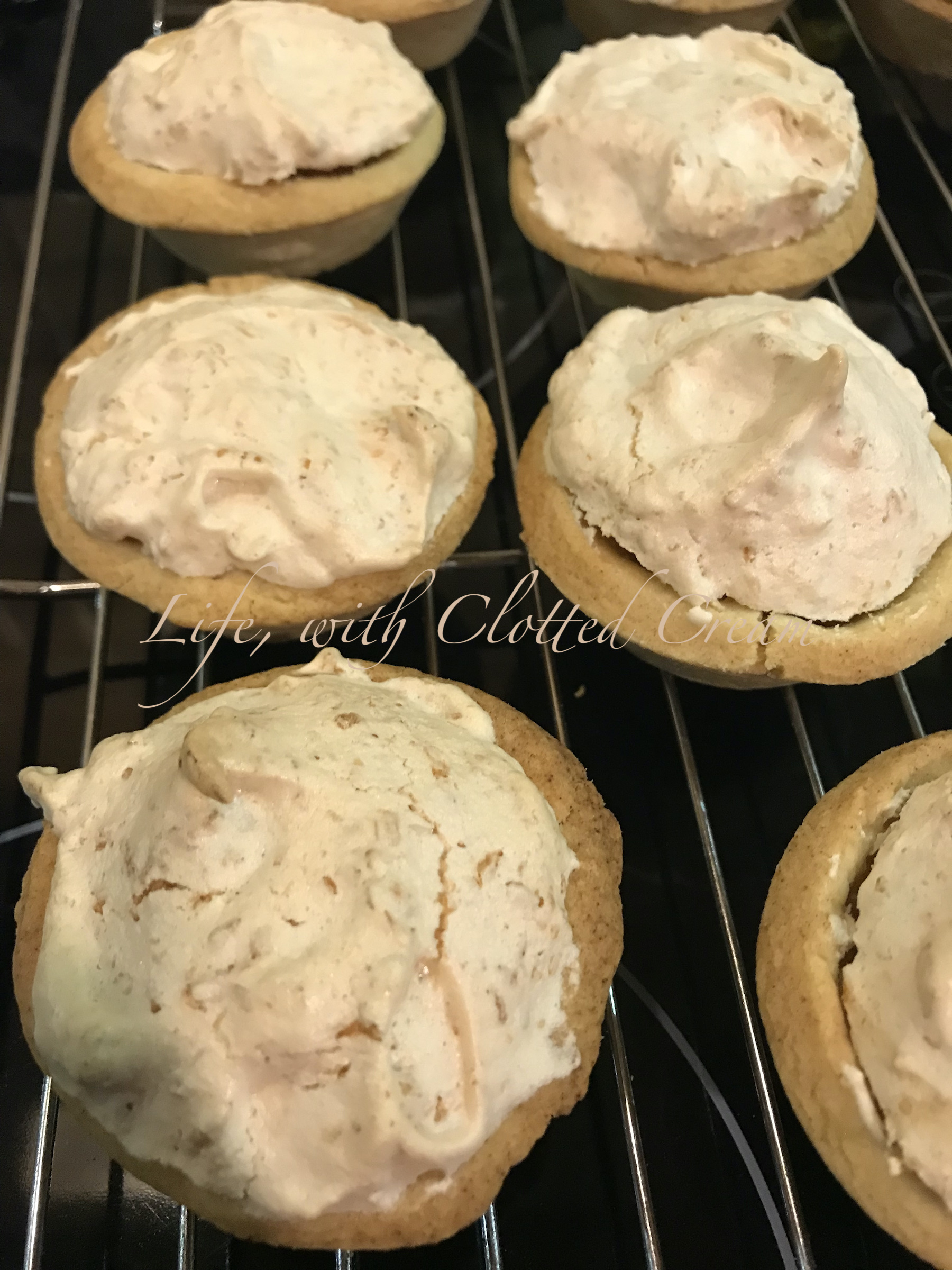 Fully baked Hertzoggies