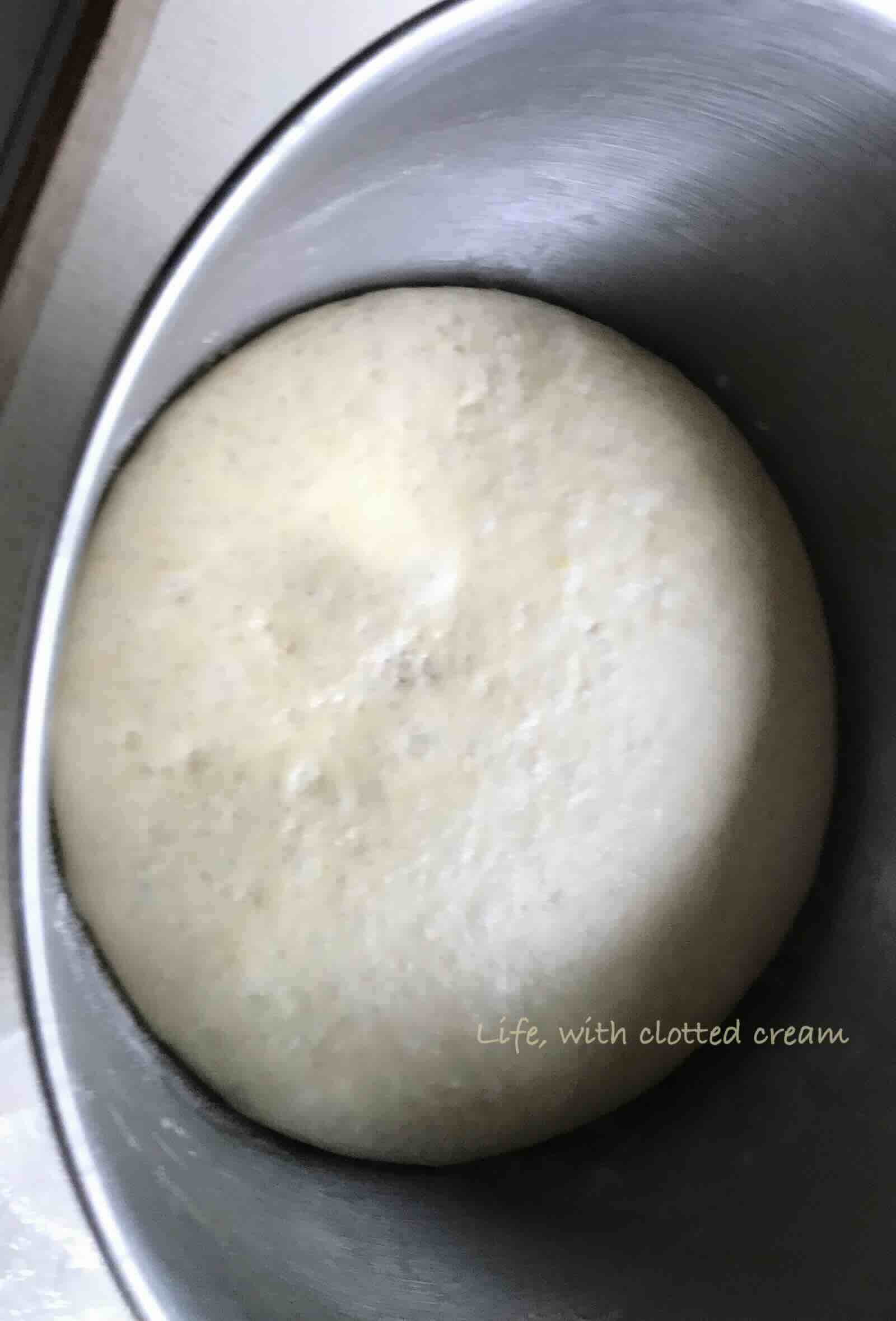 Fermented dough in a steel bowl with yeast bubbles visible.