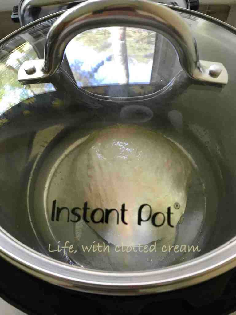 Proving dough in the Instant Pot with a glass lid.