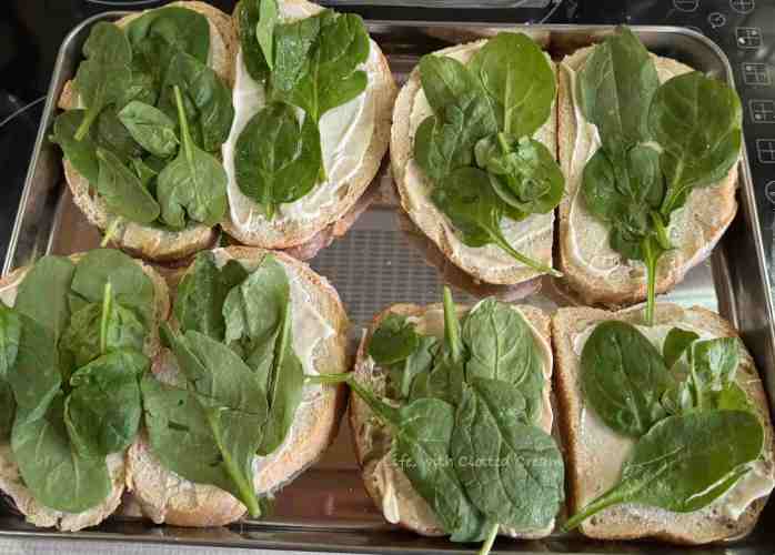 Slices of rustic bread with mayo and spinach leaves.