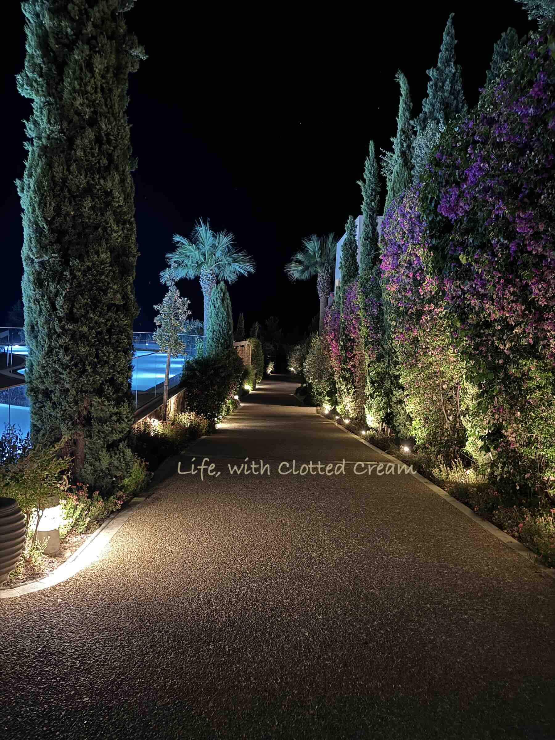 Walking along a lit path with bougainvillea and pools.