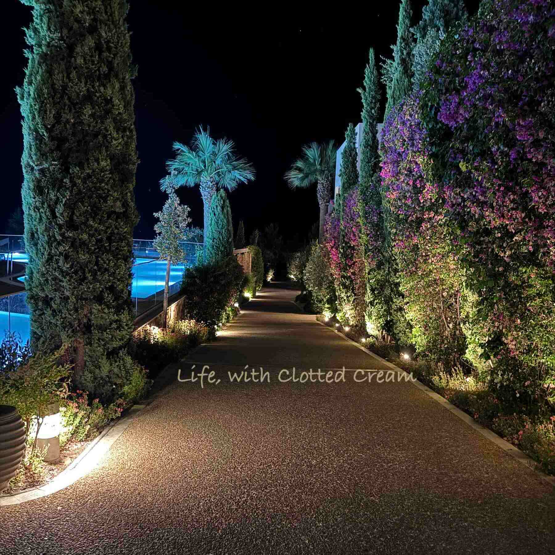 Walking along a lit path with bougainvillea and pools.